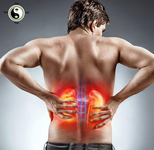 DƯỠNG THẬN CHUYÊN SÂU